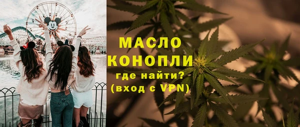 индика Дрезна